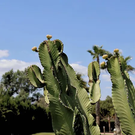 Cortijo Media Legua Resort 5*